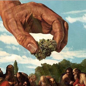 Meet your Posher, Jungle